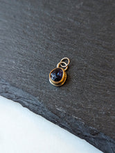 Load image into Gallery viewer, Single Charm Pendants Without Chains