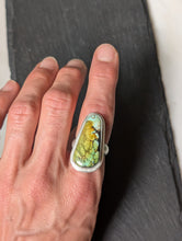 Load image into Gallery viewer, Sterling Silver + Polychrome Turquoise Freeform Size 7.5
